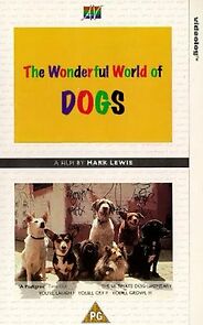 Watch The Wonderful World of Dogs
