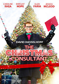 Watch The Christmas Consultant