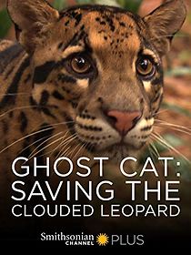 Watch Ghost Cat: Saving the Clouded Leopard