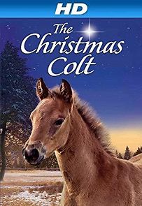 Watch The Christmas Colt
