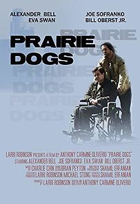 Watch Prairie Dogs