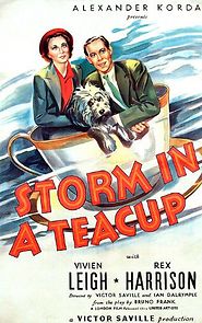 Watch Storm in a Teacup
