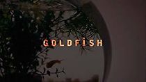 Watch Goldfish