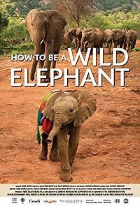 Watch How to Be a Wild Elephant