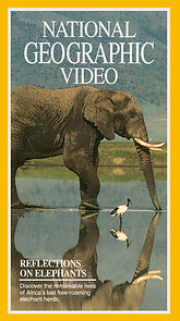 Watch Reflections on Elephants
