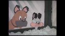 Watch The Curious Puppy (Short 1939)