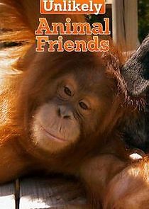 Watch Unlikely Animal Friends