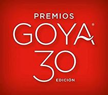 Watch Premios Goya 30 edición