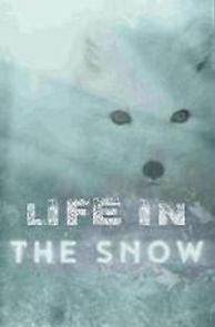 Watch Life in the Snow
