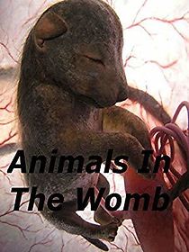 Watch Animals in the Womb