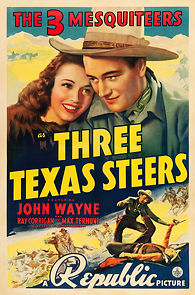 Watch Three Texas Steers