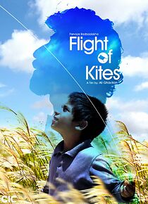 Watch Flight of the Kites