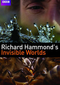 Watch Richard Hammond's Invisible Worlds