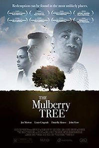 Watch The Mulberry Tree