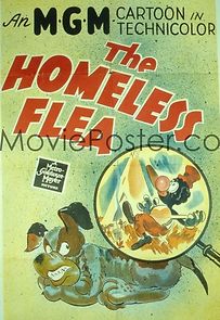 Watch The Homeless Flea