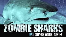 Watch Zombie Sharks