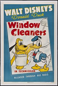 Watch Window Cleaners