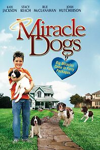 Watch Miracle Dogs