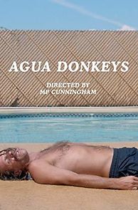 Watch Agua Donkeys