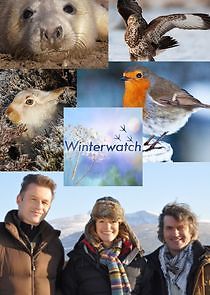 Watch Winterwatch