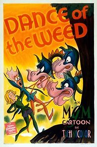 Watch Dance of the Weed
