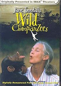 Watch Jane Goodall's Wild Chimpanzees