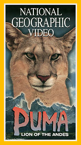 Watch Puma: Lion of the Andes