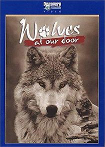 Watch Wolves at Our Door