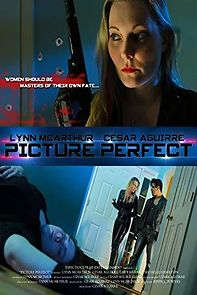 Watch Picture Perfect