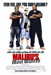 Watch Malibu's Most Wanted