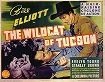 Watch The Wildcat of Tucson
