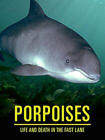 Watch Porpoises: Life and Death in the Fast Lane