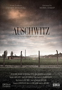 Watch Auschwitz (Short 2015)