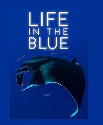 Watch Life in the Blue
