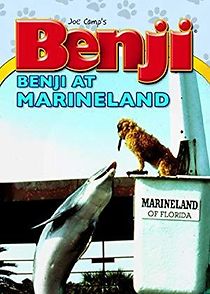 Watch Benji Takes a Dive at Marineland