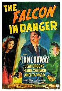 Watch The Falcon in Danger