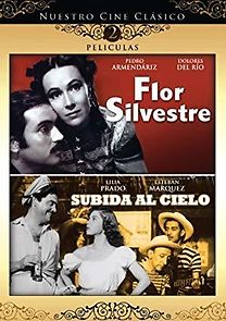 Watch Flor silvestre