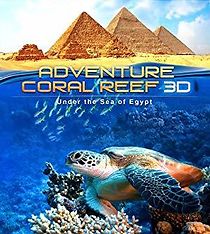 Watch Adventure Coral Reef 3D Under the Sea of Egypt