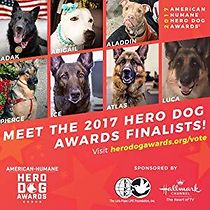 Watch 2017 Hero Dog Awards