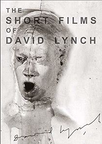 Watch The Short Films of David Lynch