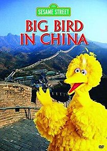 Watch Big Bird in China