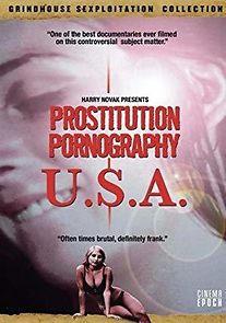 Watch Prostitution Pornography USA