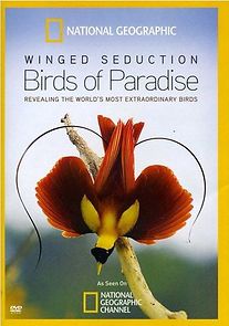 Watch Winged Seduction: Birds of Paradise