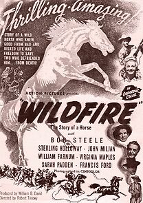 Watch Wildfire