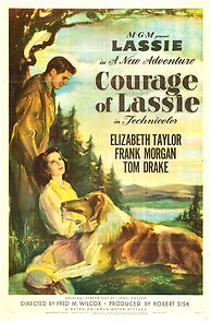 Watch Courage of Lassie