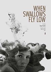 Watch When Swallows Fly Low