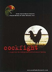 Watch Cockfight