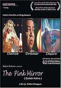Watch The Pink Mirror