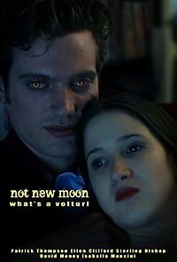 Watch Not New Moon. What's a Volturi?