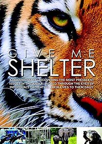 Watch Give Me Shelter